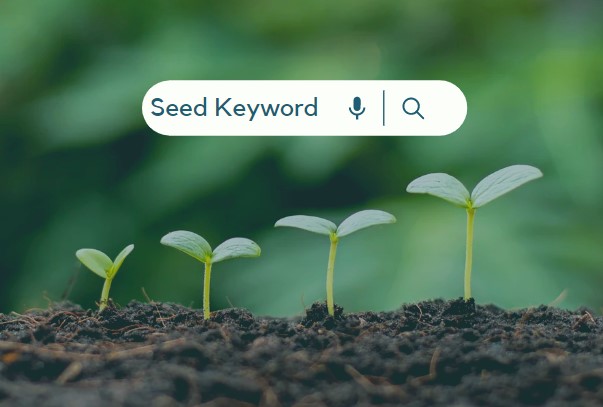 KW Blog Seed Keyword