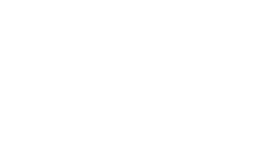 apeks logo white