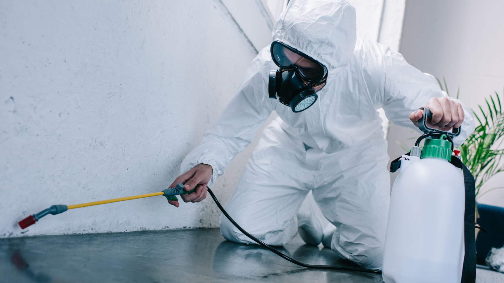 seo for pest control companies