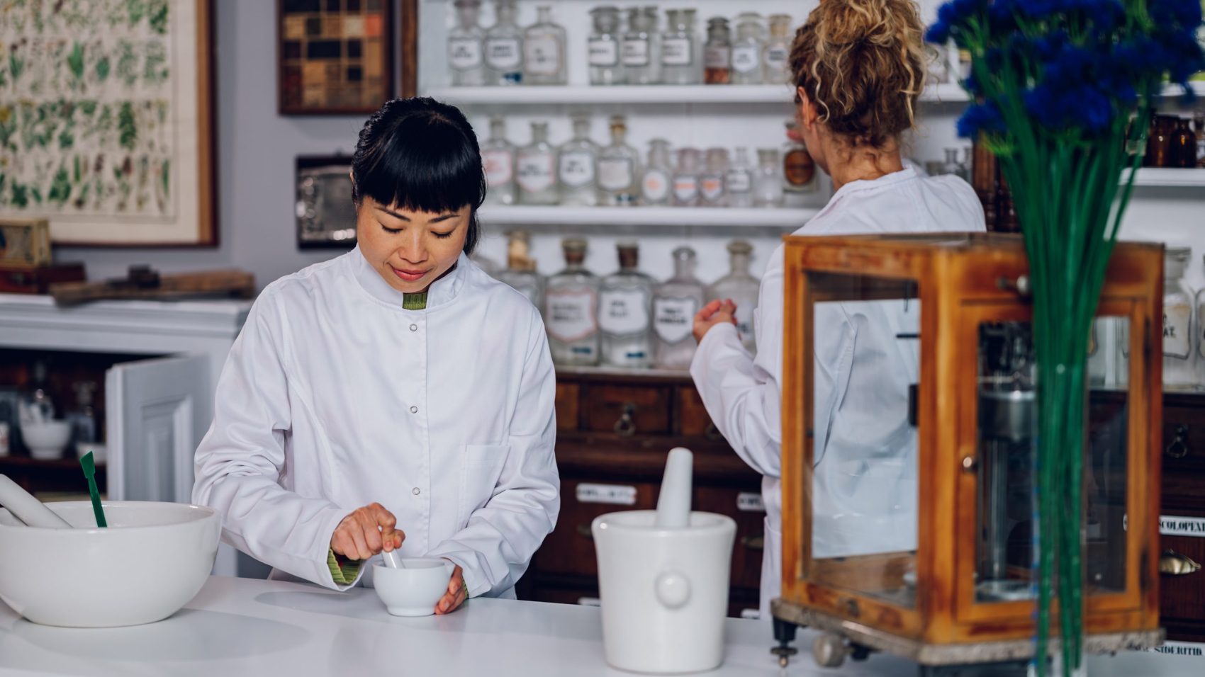 A Japanese chemist is mixing a cure in mortar while her assistant is taking ingredients in the pharmacy. Two pharmacists are working together on cure-making in the apothecary.