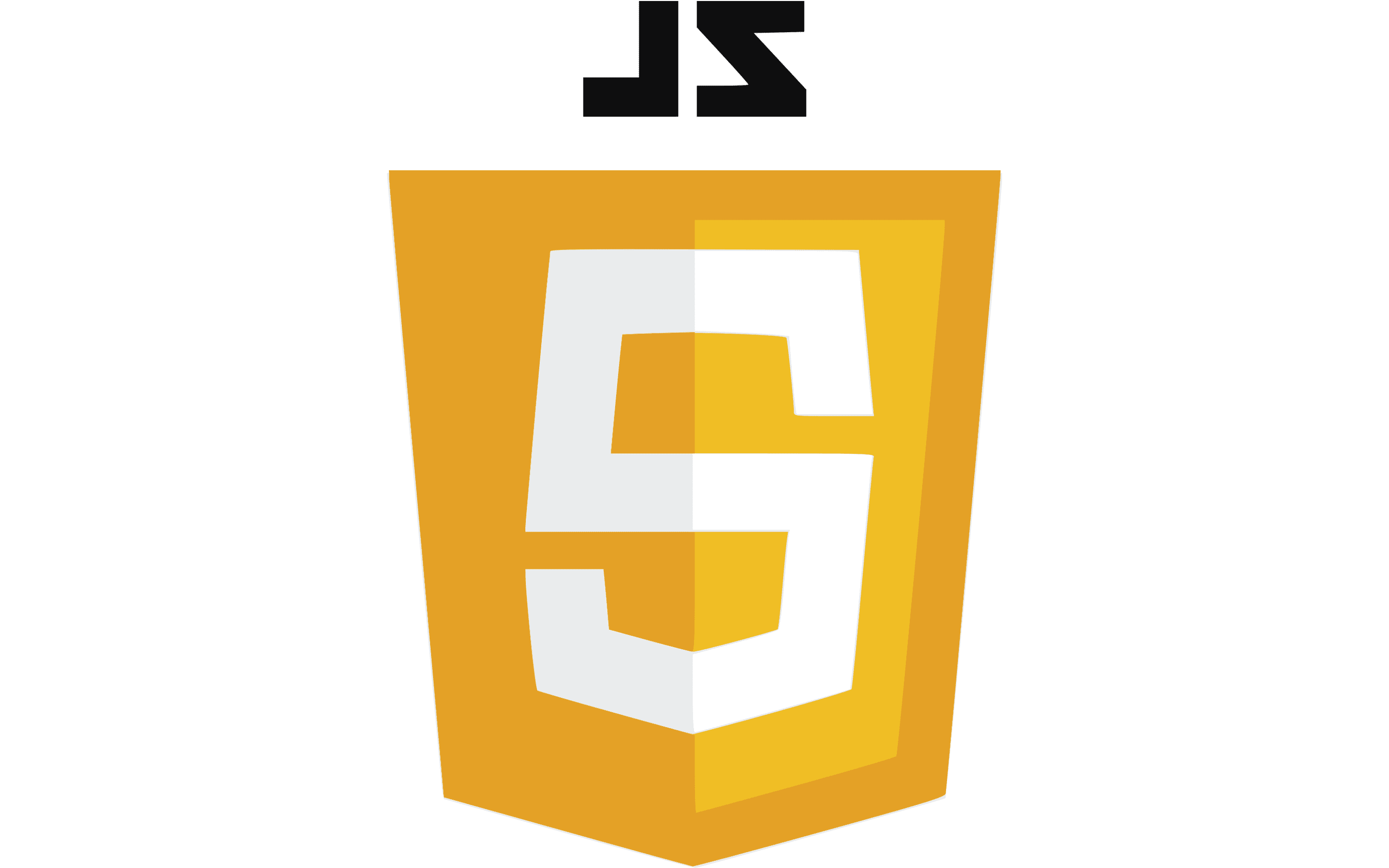 Website Vulnerability Scanning 9 JS logo