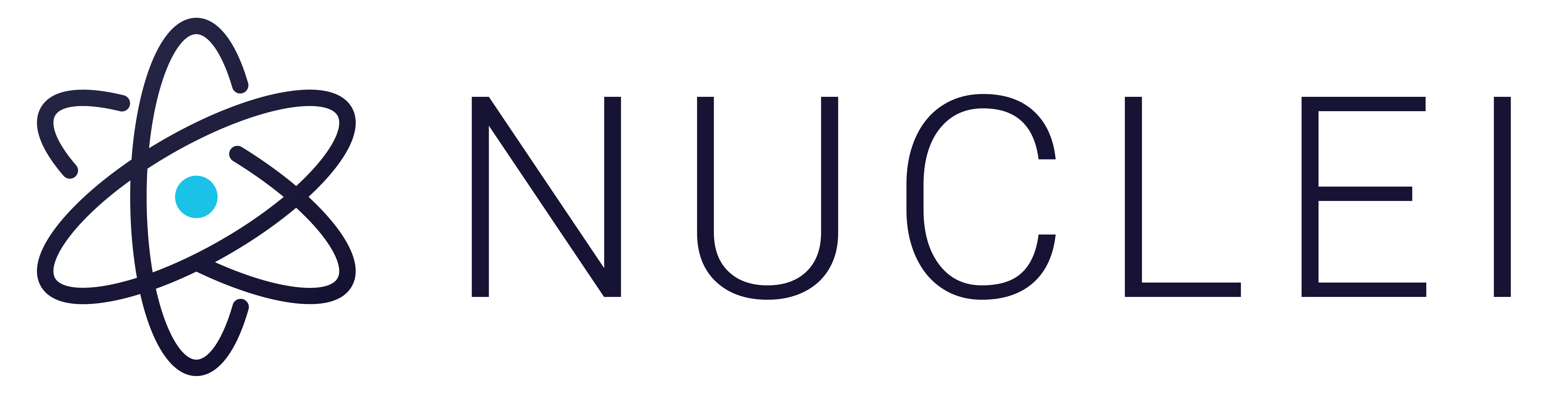 Website Vulnerability Scanning 8 Nuclei Logo